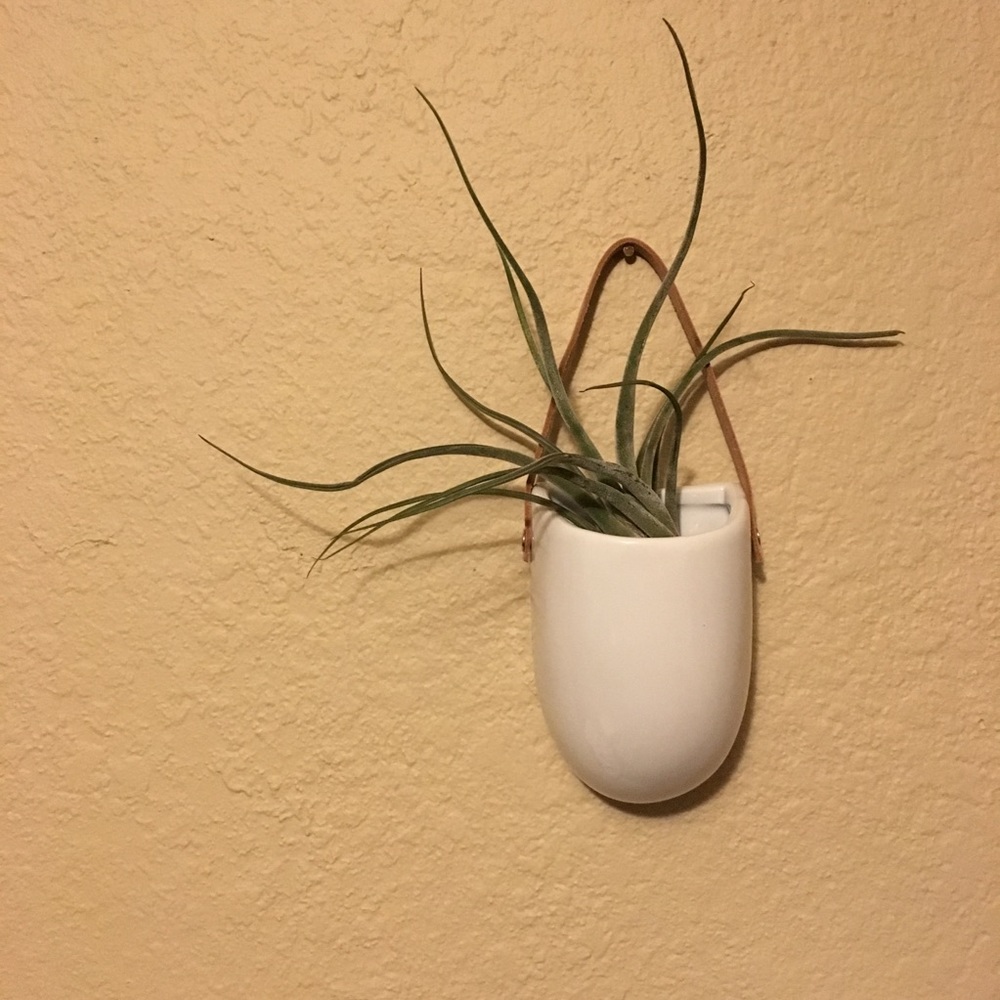 SOLD Ceramic & Leather Wall Hanging Planter